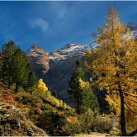 l2 burgi rettenegger herbst in innergschloess