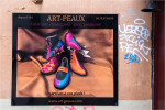 bunt desiree gruber lyon