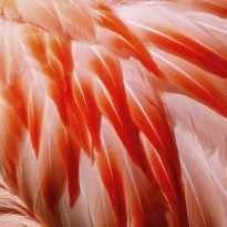 struktur.ingrid radlegger04