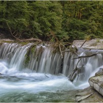 wasser desiree gruber taugl