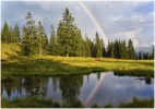 wetter desiree gruber regenbogen
